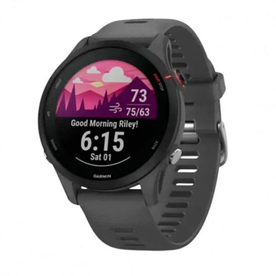  Зображення Смарт-годинник Garmin Forerunner 255 Slate (010-02641-00) 