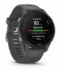  Зображення Смарт-годинник Garmin Forerunner 255 Slate (010-02641-00) 