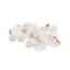  Зображення Коннектор RJ45 Atcom cat.6 UTP 8p8c (14373) 100шт 