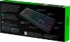  Зображення Клавіатура Razer Cynosa V2 USB (RZ03-03400700-R3R1)) 