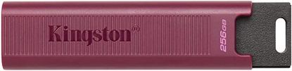  Зображення Накопичувач Kingston  256GB USB 3.2 Type-A Gen 2 DT Max 