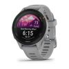  Зображення Смарт-годинник Garmin Forerunner 255S Slate (010-02641-02) 