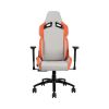  Зображення Крісло для геймерів 1stPlayer DK2 Pro Orange&Gray 