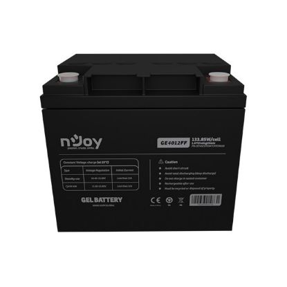  Зображення Акумуляторна батарея Njoy GE4012FF 12V 40AH (BTVGCDTOMTCFFCN01B) GEL 