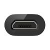  Зображення Адаптер Belkin USB-C - MicroUSB Black (F2CU058BTBLK) 